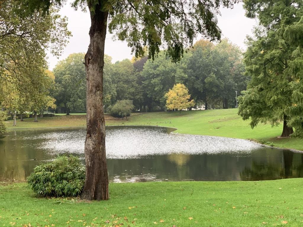 Moebliertes Wohnung Am Geroweiher Moenchengladbach エクステリア 写真